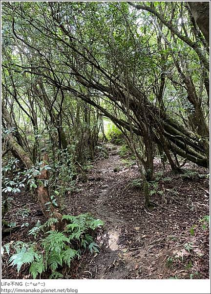 李棟山_220810_84.jpg 李棟山_220810_84.jpg