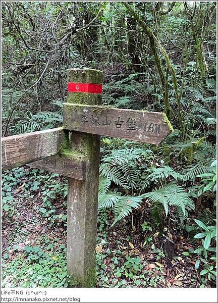 李棟山_220810_100.jpg 李棟山_220810_100.jpg