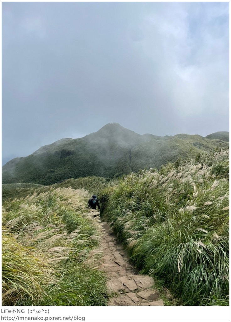 七星山_220926_24.jpg 七星山_220926_24.jpg