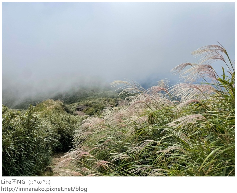 七星山_220926_18.jpg 七星山_220926_18.jpg