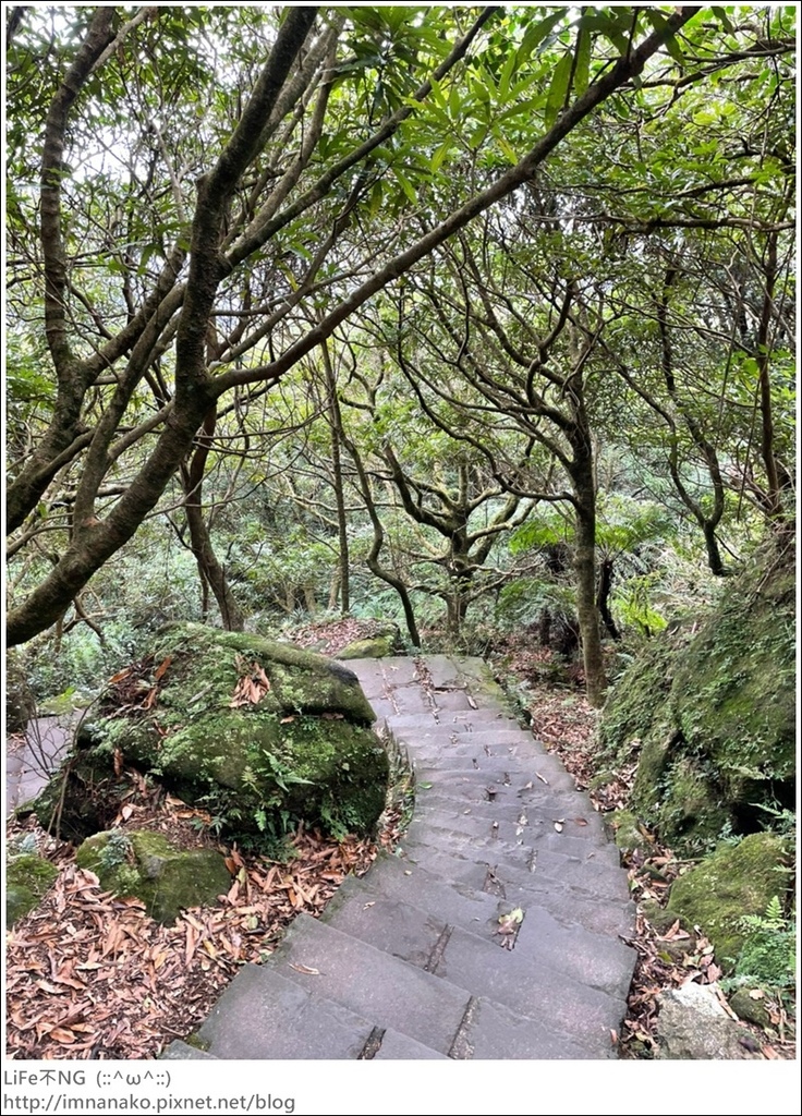 七星山_220926_27.jpg 七星山_220926_27.jpg