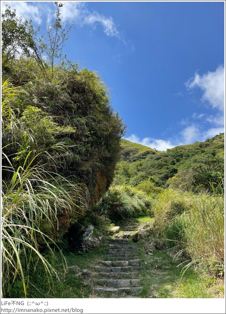 七星山_220926_36.jpg 七星山_220926_36.jpg