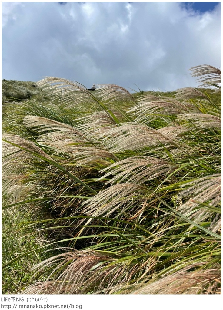 七星山_220926_38.jpg 七星山_220926_38.jpg