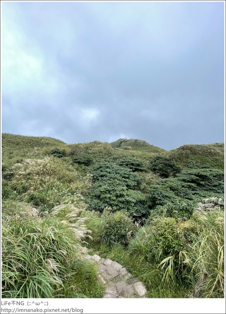 七星山_220926_43.jpg 七星山_220926_43.jpg