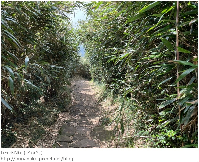 七星山_220926_48.jpg 七星山_220926_48.jpg