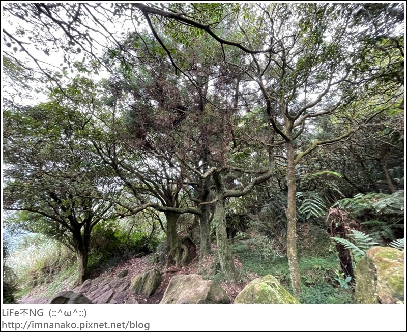 七星山_220926_66.jpg 七星山_220926_66.jpg