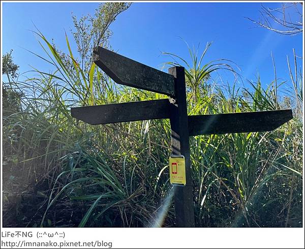 54_221003_7.jpg 54_221003_7.jpg