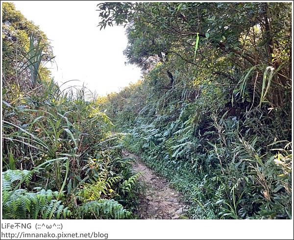 54_221003_8.jpg 54_221003_8.jpg