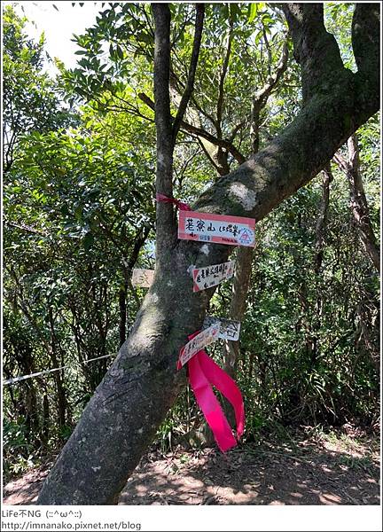 54_221003_40.jpg 54_221003_40.jpg