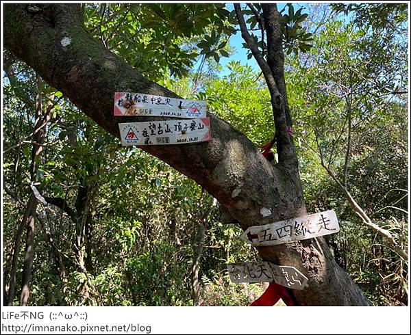 54_221003_39.jpg 54_221003_39.jpg