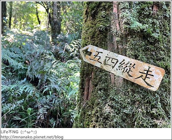 54_221003_42.jpg 54_221003_42.jpg