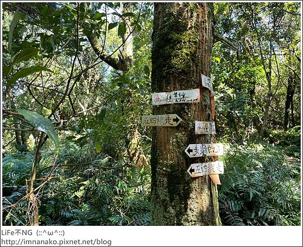 54_221003_41.jpg 54_221003_41.jpg