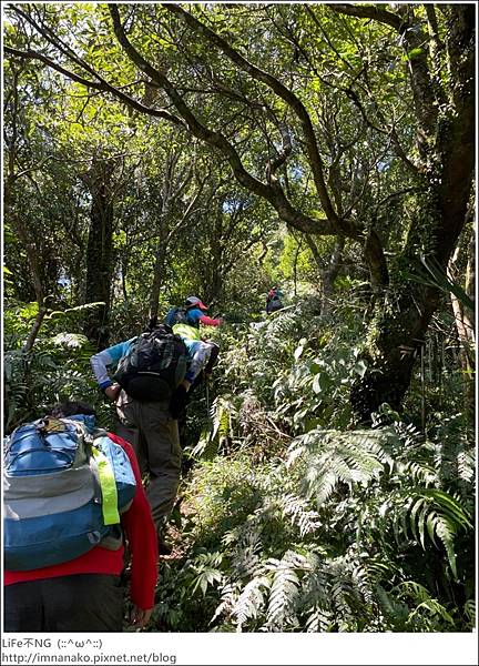 54_221003_51.jpg 54_221003_51.jpg