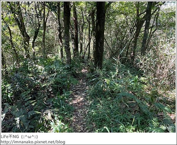 54_221003_49.jpg 54_221003_49.jpg