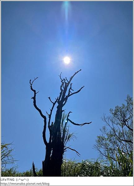 54_221003_55.jpg 54_221003_55.jpg