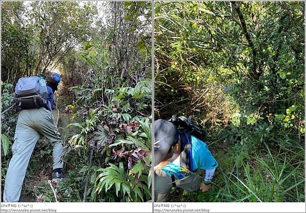 54_221003_74-tile.jpg 54_221003_74-tile.jpg