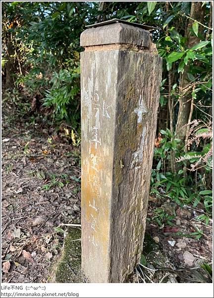 54_221003_90.jpg 54_221003_90.jpg