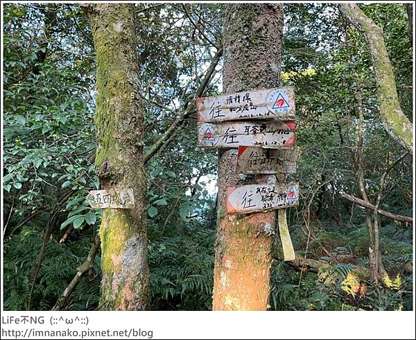 54_221003_91.jpg 54_221003_91.jpg