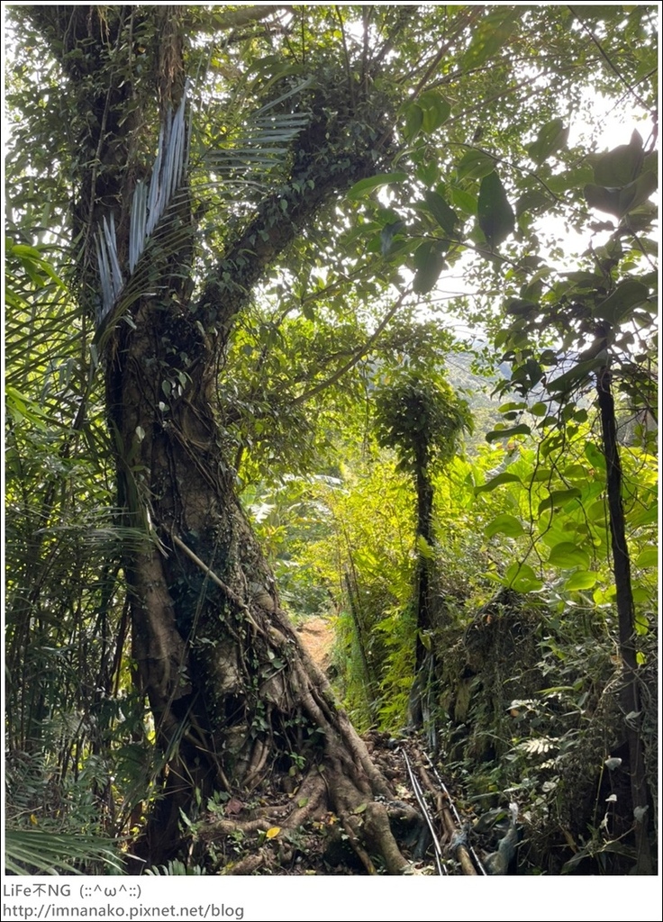 牡丹山_221005_7.jpg 牡丹山_221005_7.jpg