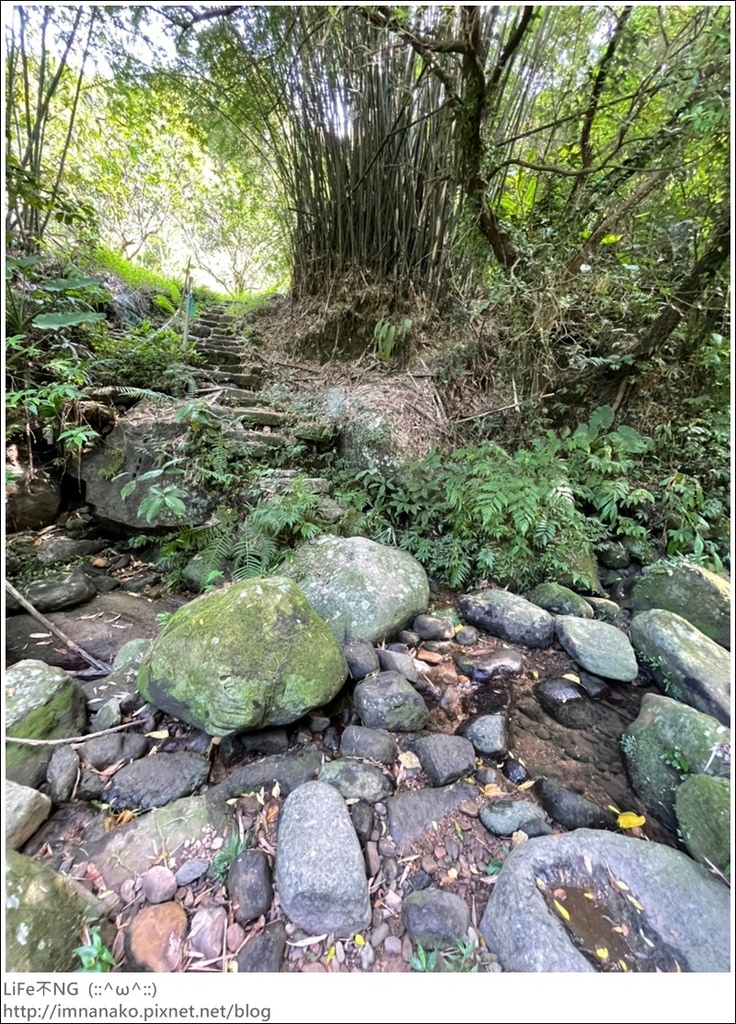 牡丹山_221005_8.jpg 牡丹山_221005_8.jpg