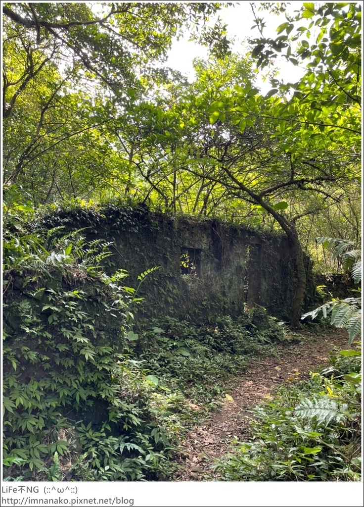 牡丹山_221005_9.jpg 牡丹山_221005_9.jpg