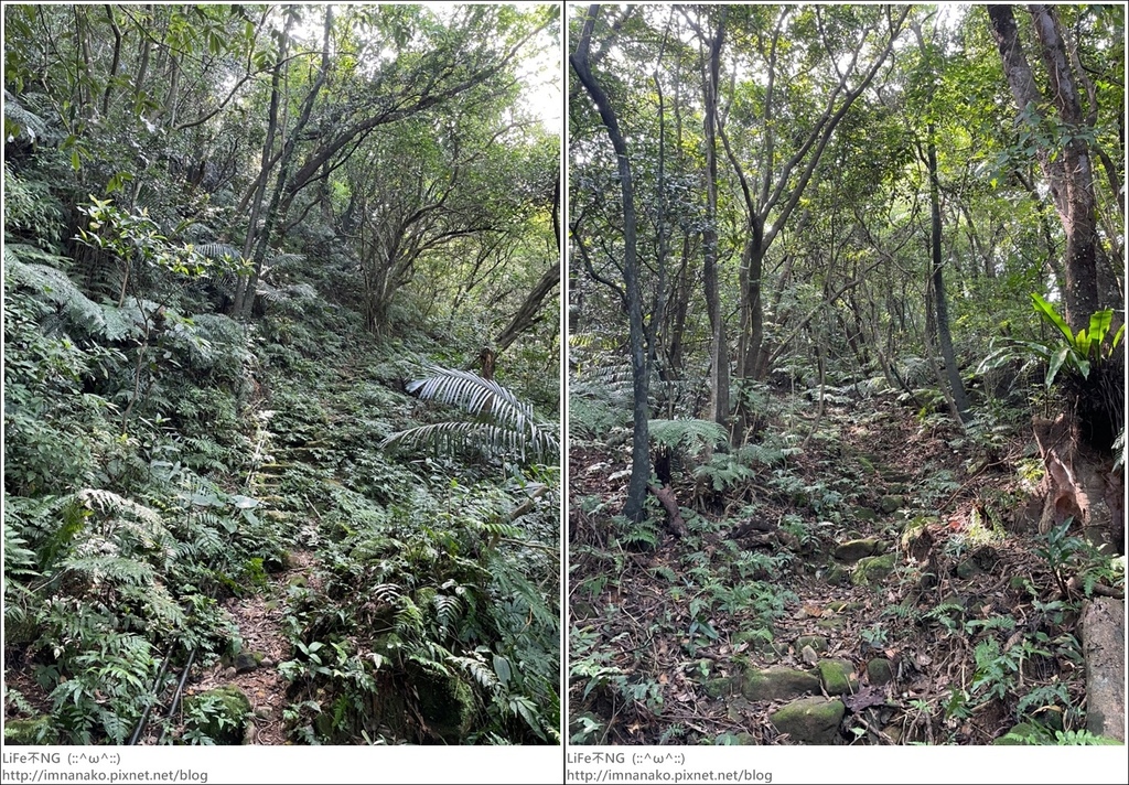 牡丹山_221005_10-horz.jpg 牡丹山_221005_10-horz.jpg