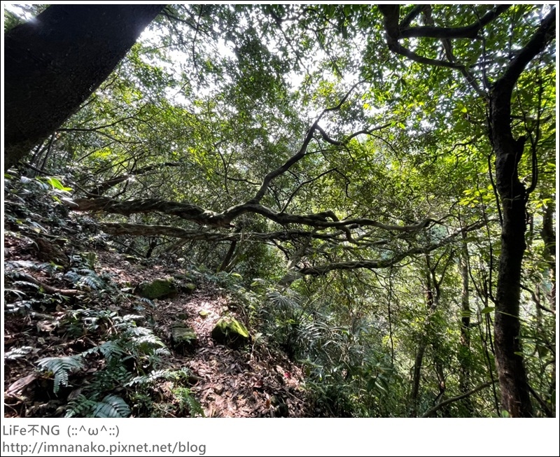 牡丹山_221005_13.jpg 牡丹山_221005_13.jpg