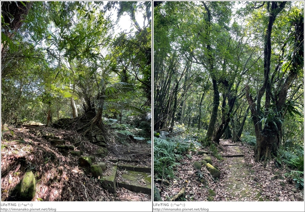 牡丹山_221005_15-horz.jpg 牡丹山_221005_15-horz.jpg