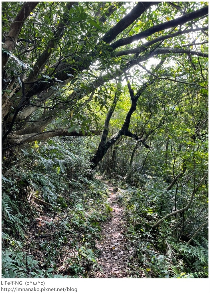 牡丹山_221005_12.jpg 牡丹山_221005_12.jpg