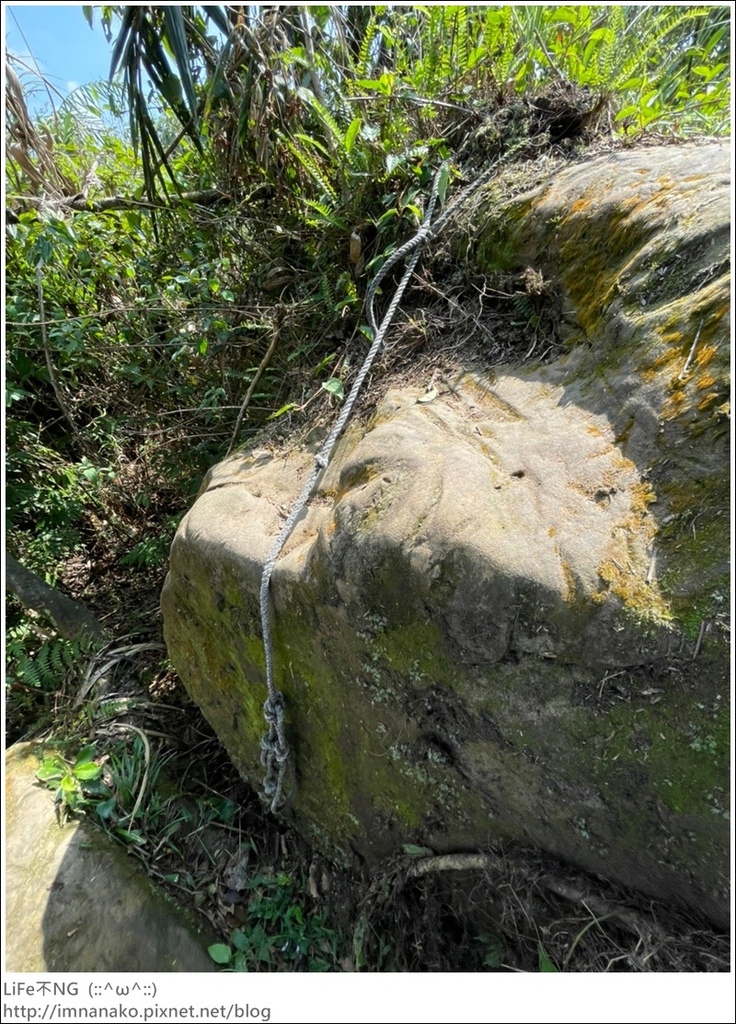 牡丹山_221005_33.jpg 牡丹山_221005_33.jpg