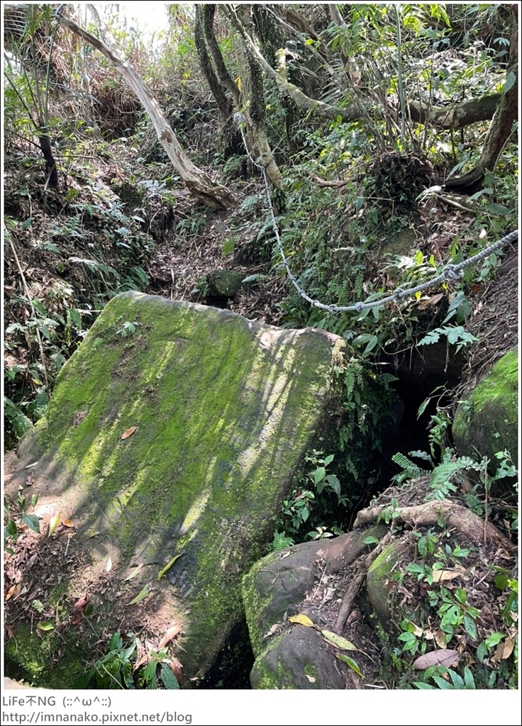 牡丹山_221005_36.jpg 牡丹山_221005_36.jpg