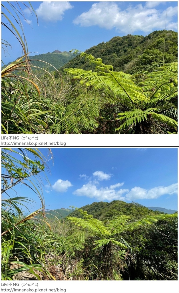 牡丹山_221005_37-vert.jpg 牡丹山_221005_37-vert.jpg