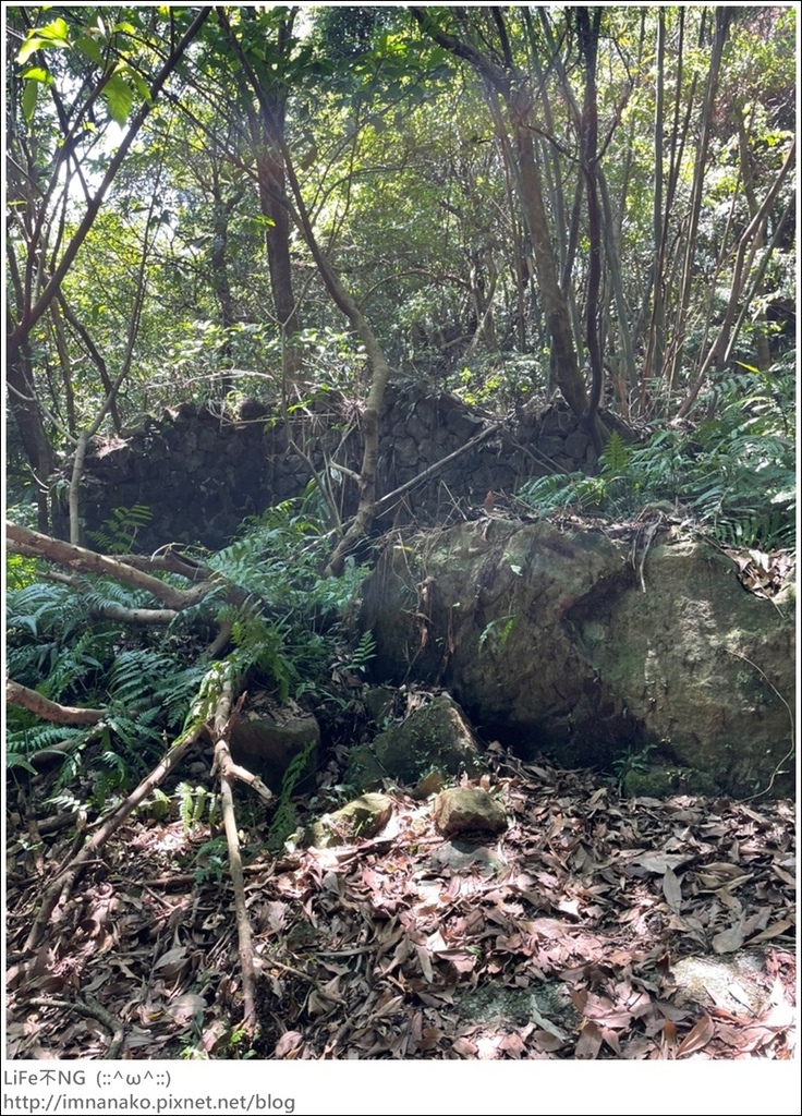 牡丹山_221005_74.jpg 牡丹山_221005_74.jpg