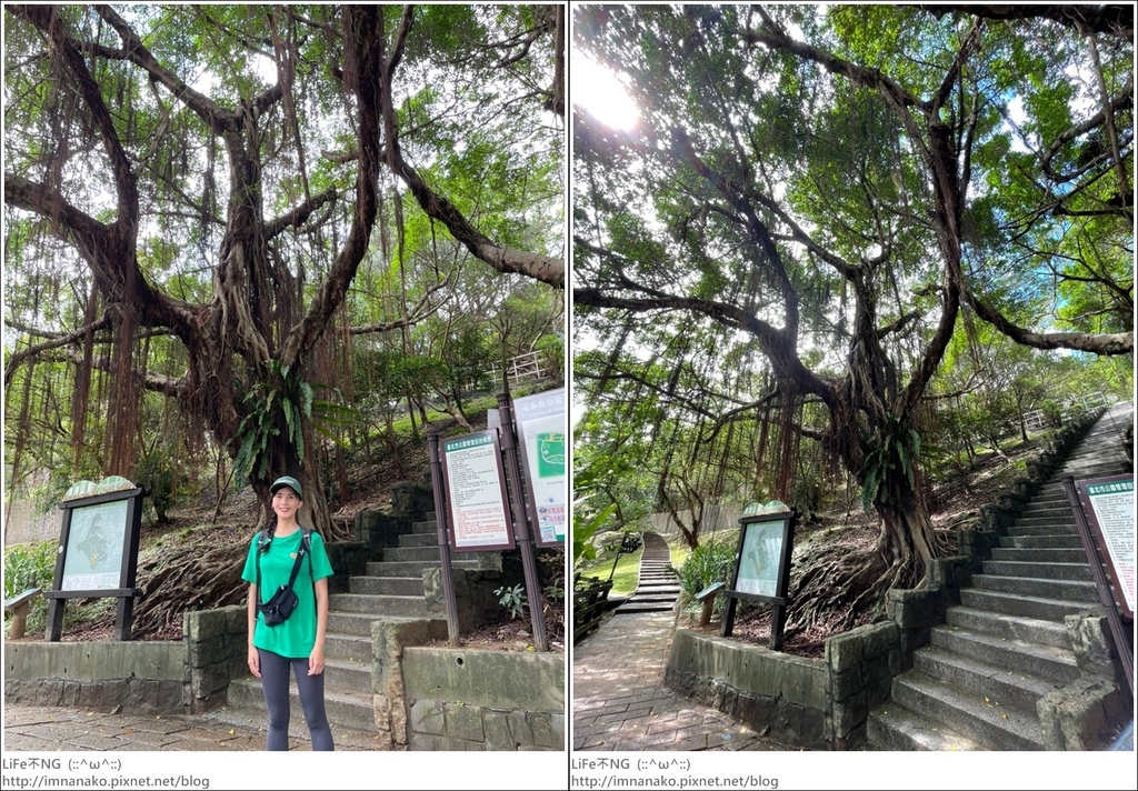 Hiking_221024_100-tile.jpg Hiking_221024_100-tile.jpg