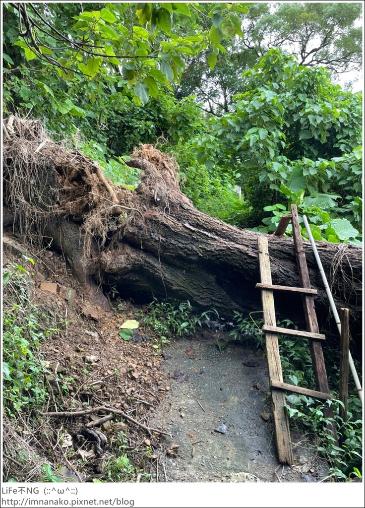 Hiking_221024_139.jpg Hiking_221024_139.jpg