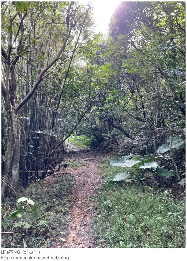 Hiking_221024_166.jpg Hiking_221024_166.jpg