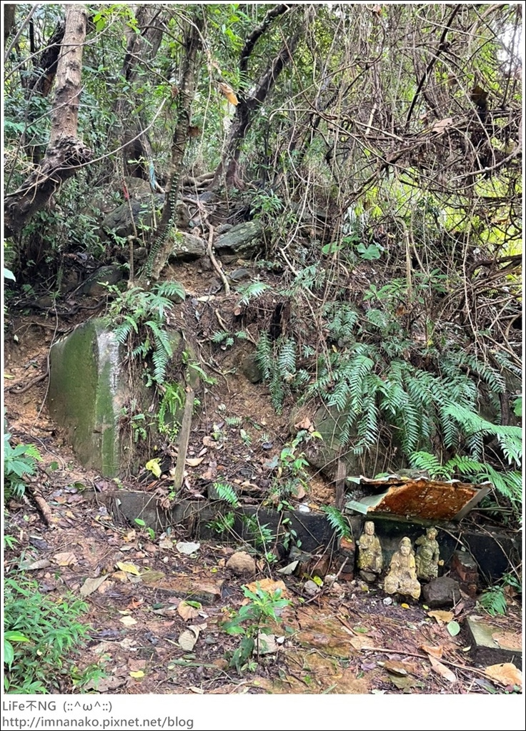 Hiking_221024_167.jpg Hiking_221024_167.jpg