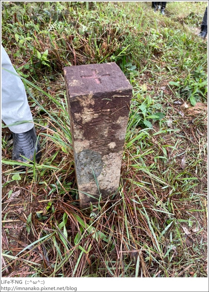 抹茶山_221107_9.jpg 抹茶山_221107_9.jpg