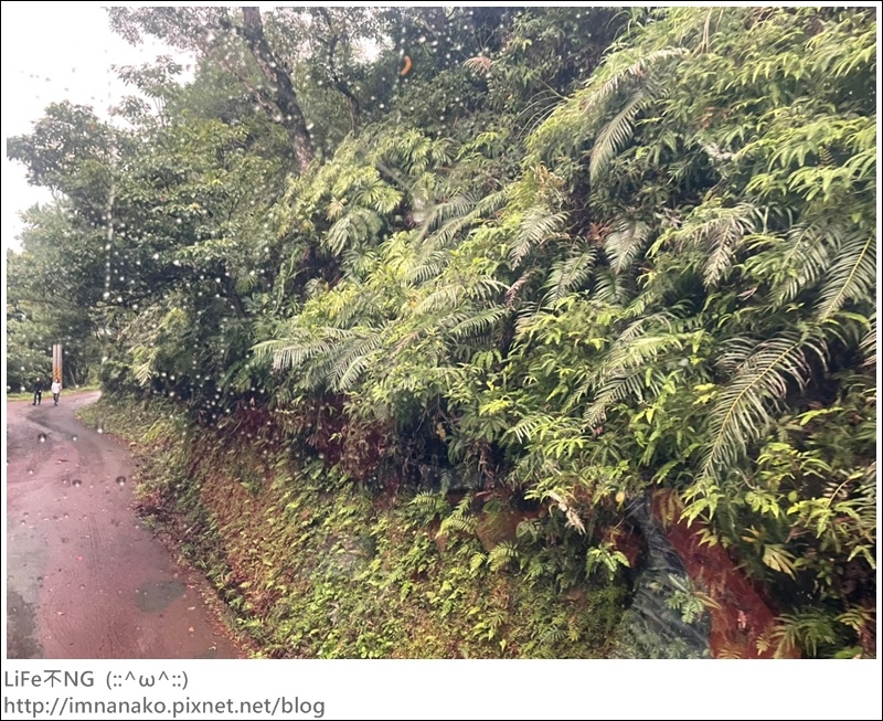 抹茶山_221107_1.jpg 抹茶山_221107_1.jpg