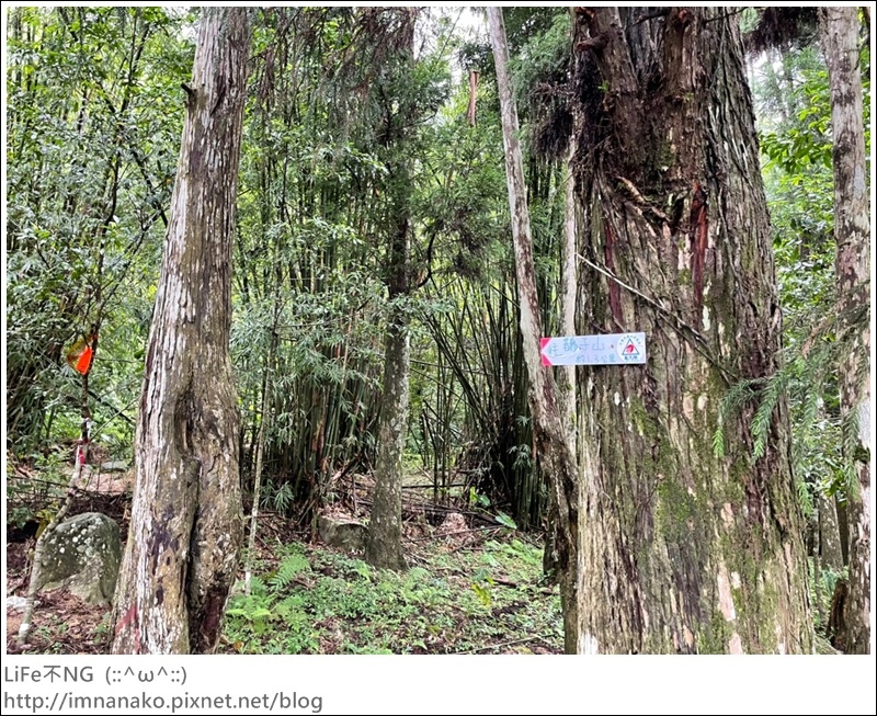 抹茶山_221107_7.jpg 抹茶山_221107_7.jpg