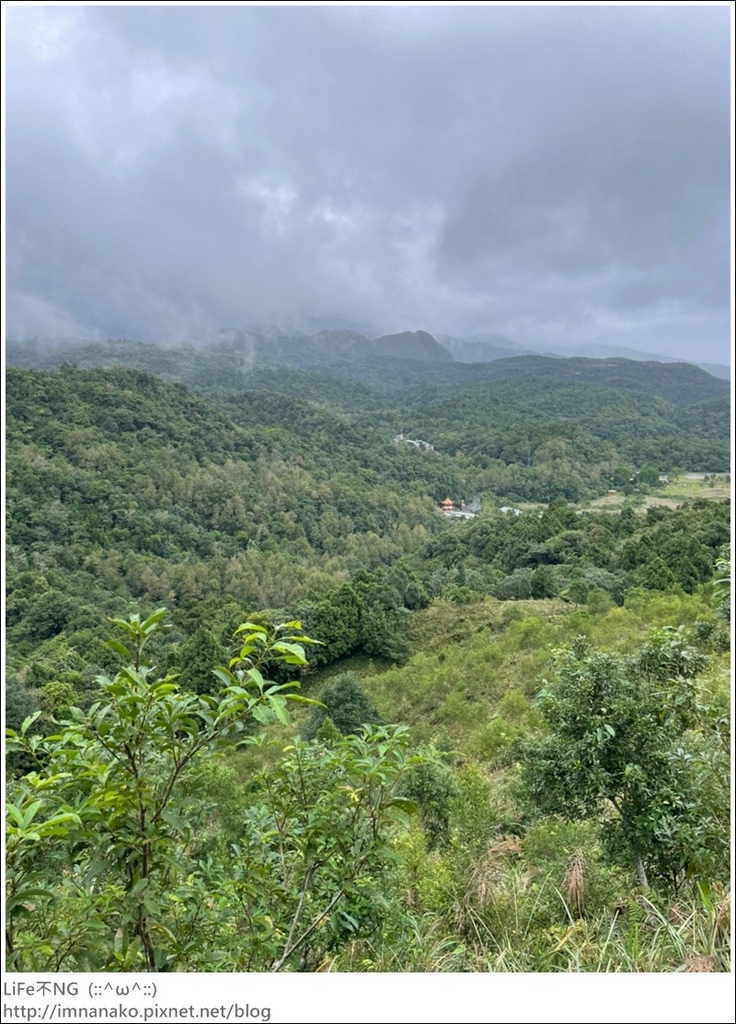 抹茶山_221107_12.jpg 抹茶山_221107_12.jpg