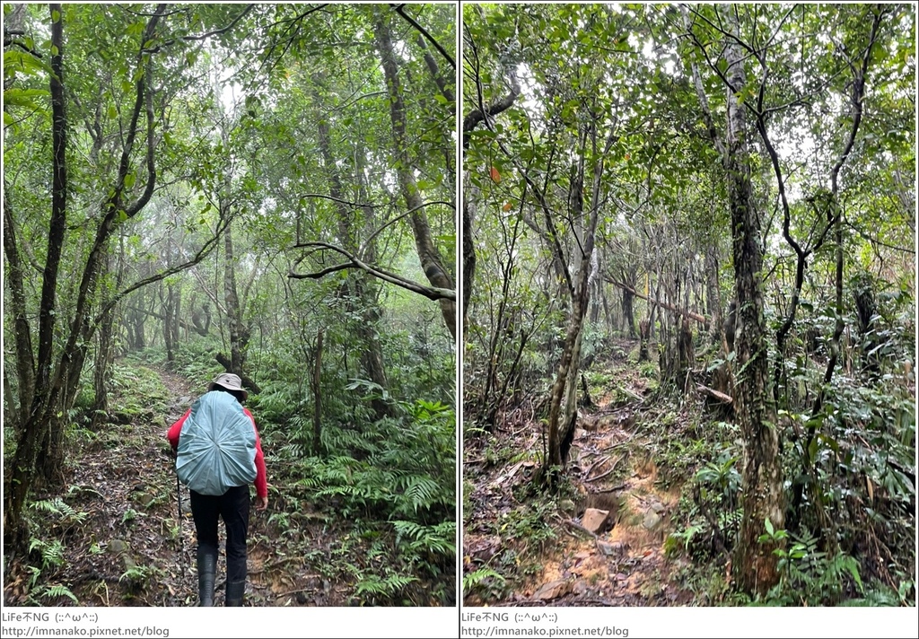 抹茶山_221107_15-tile.jpg 抹茶山_221107_15-tile.jpg