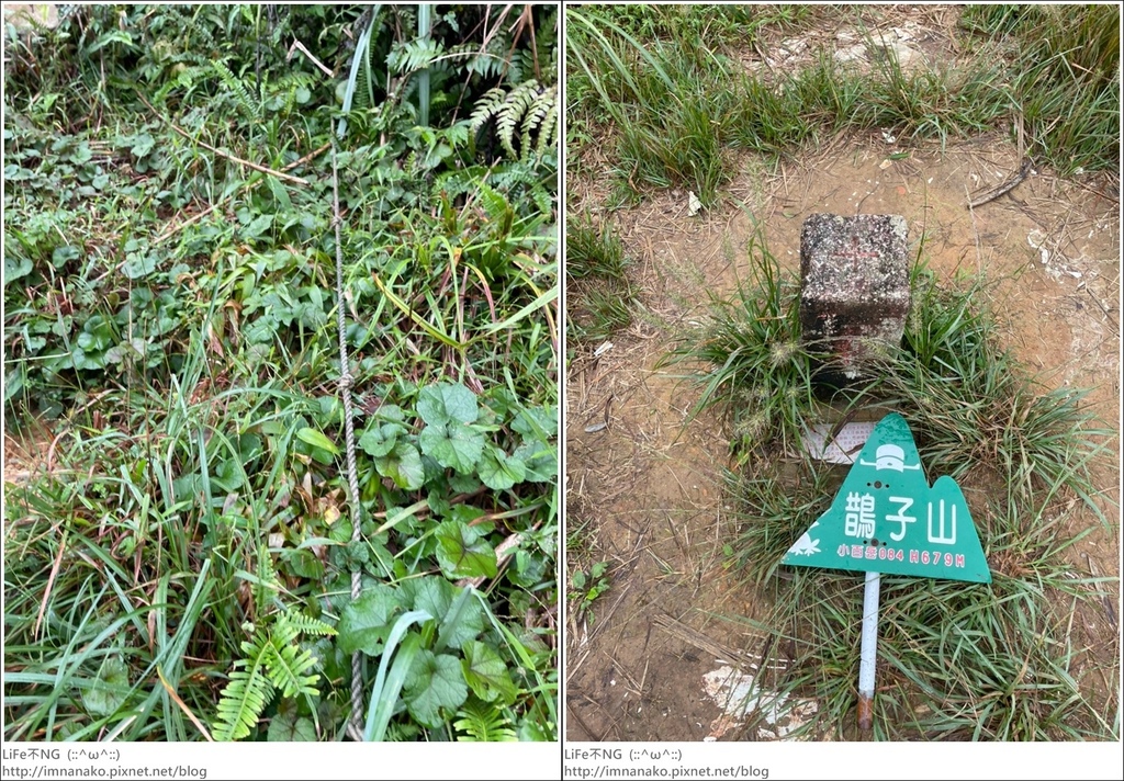 抹茶山_221107_17-tile.jpg 抹茶山_221107_17-tile.jpg