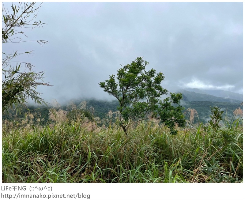 抹茶山_221107_24.jpg 抹茶山_221107_24.jpg