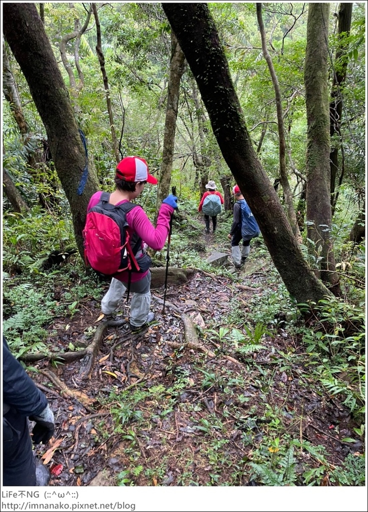 抹茶山_221107_26.jpg 抹茶山_221107_26.jpg