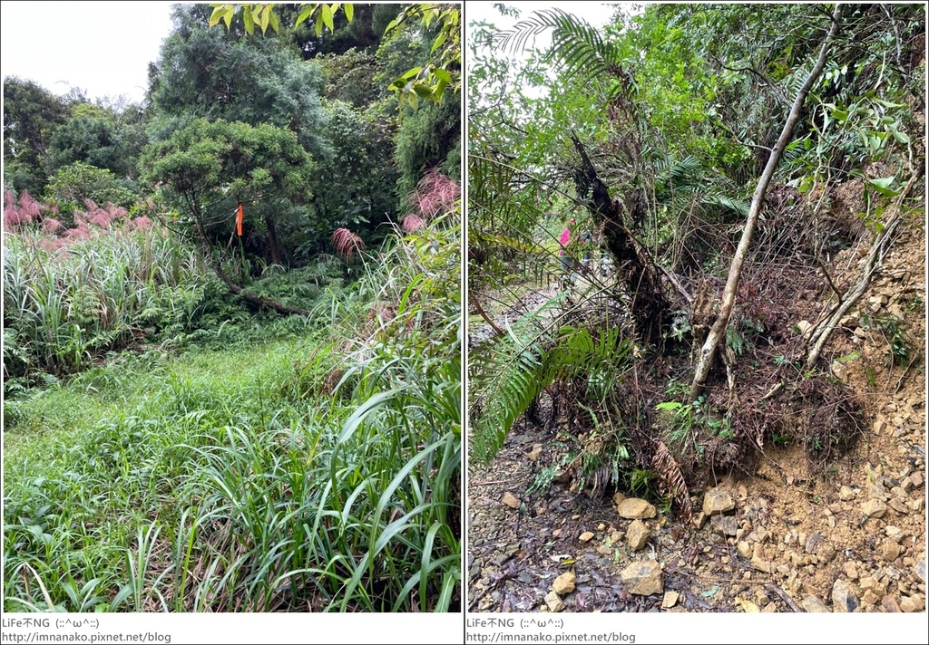 抹茶山_221107_28-tile.jpg 抹茶山_221107_28-tile.jpg