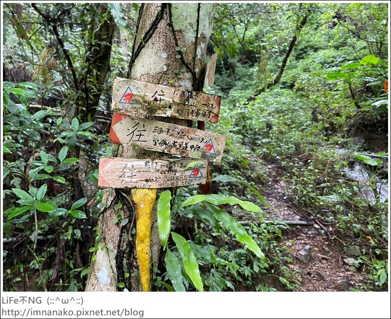 抹茶山_221107_33.jpg 抹茶山_221107_33.jpg