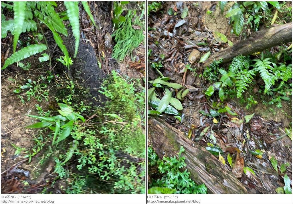 抹茶山_221107_35-tile.jpg 抹茶山_221107_35-tile.jpg