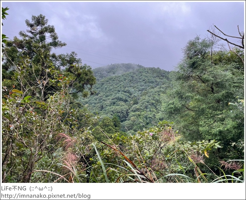 抹茶山_221107_27.jpg 抹茶山_221107_27.jpg