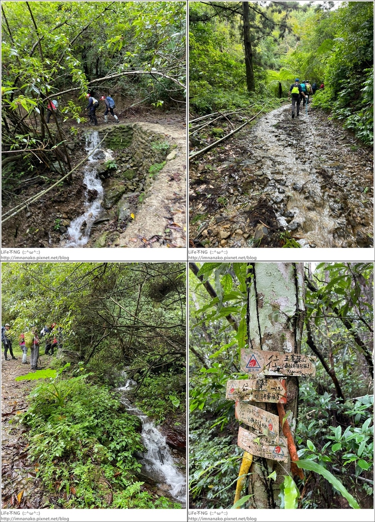 抹茶山_221107_30-tile.jpg 抹茶山_221107_30-tile.jpg